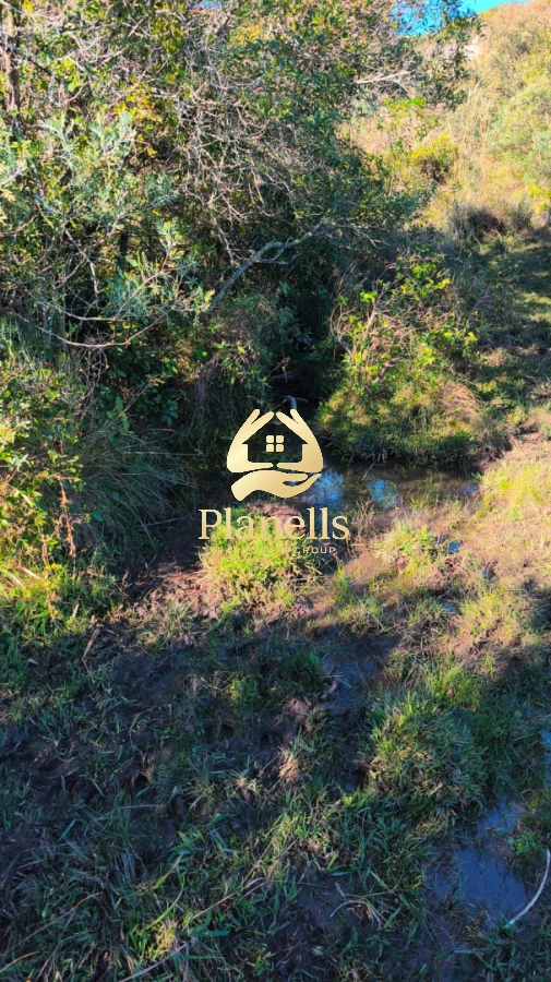 Campo Ref.2247 - venta  Chacras 3Has  Caracoles