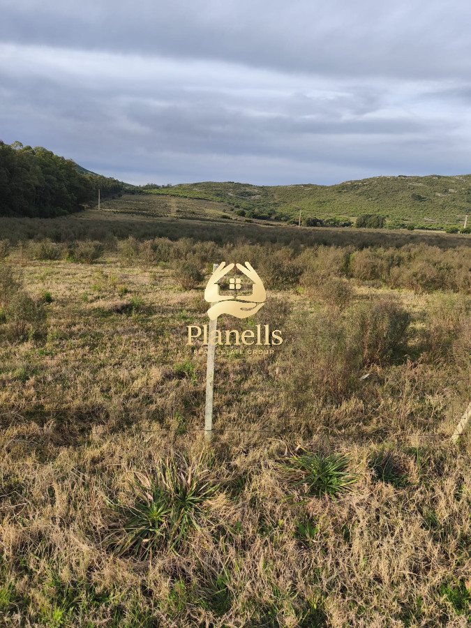 Venta de Campo de 25 Ha en 3