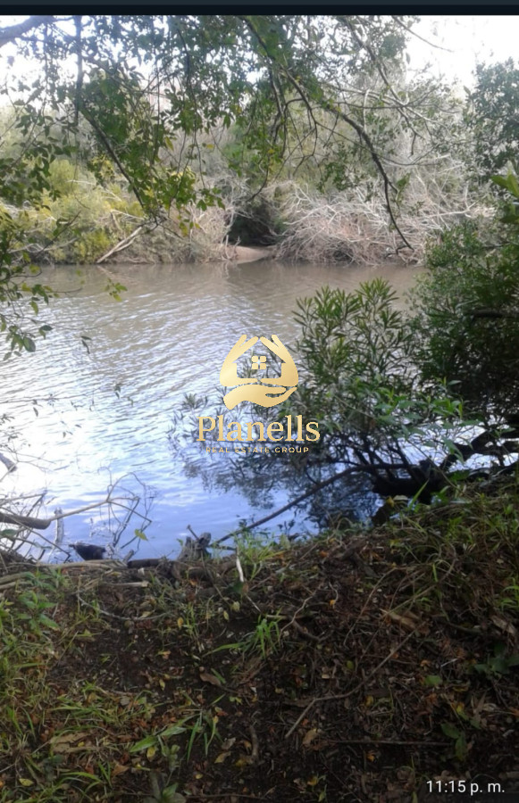 Venta de campo de 22 Ha en Zanja de Chavez 1