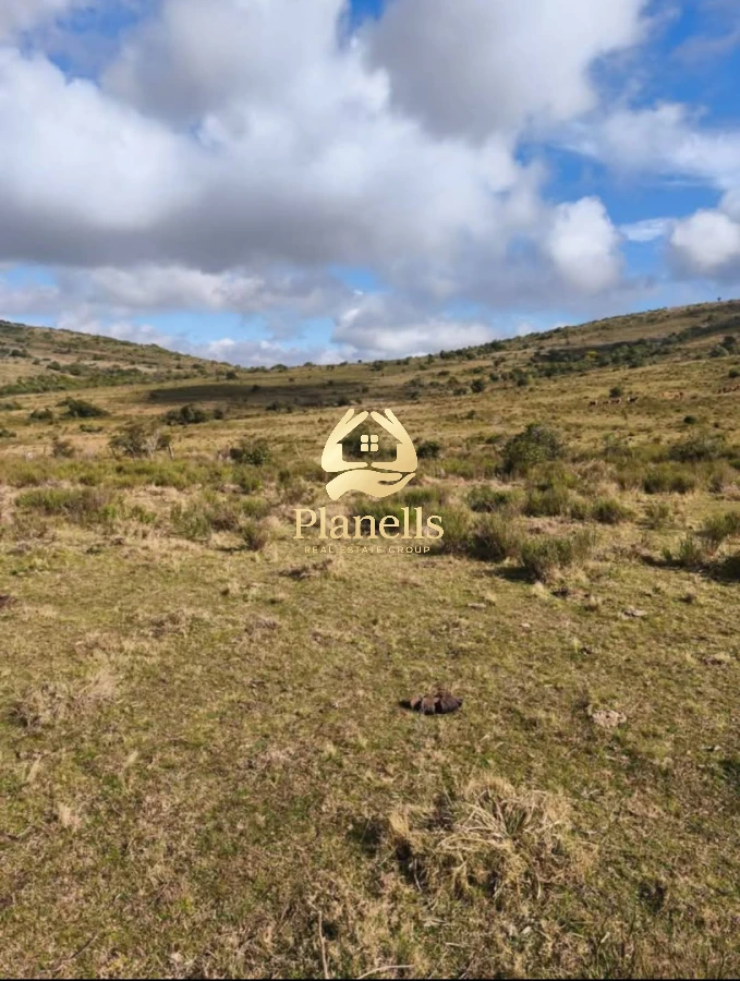 Campo Ref.3106 - Venta de Campo 600Ha en Carape con casas