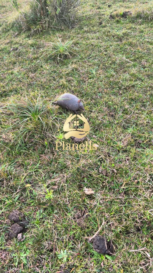 Campo Ref.2247 - venta  Chacras 3Has  Caracoles