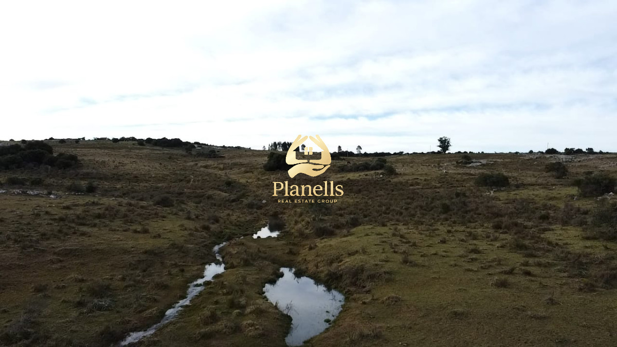 Venta de campo de 57 Has Zona las Cañas 1