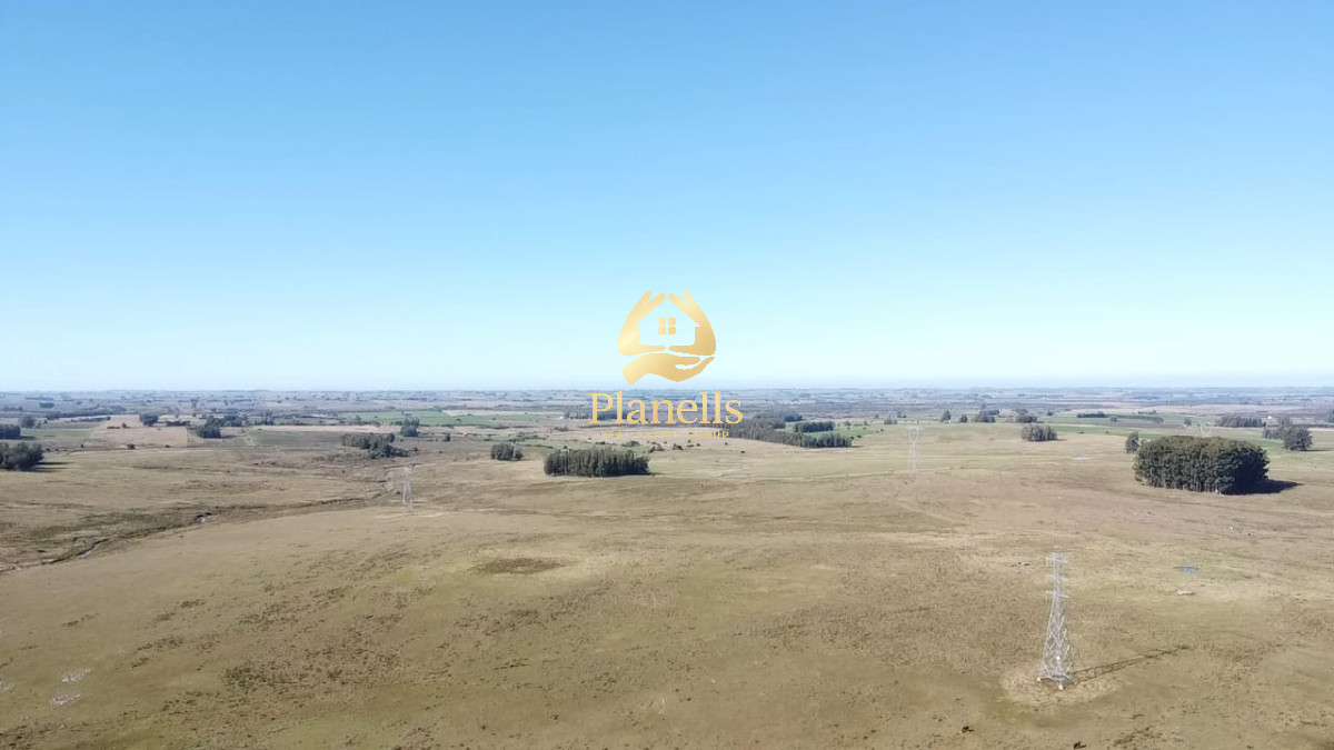 Venta de Campo de 103 Has Partido Norte 3