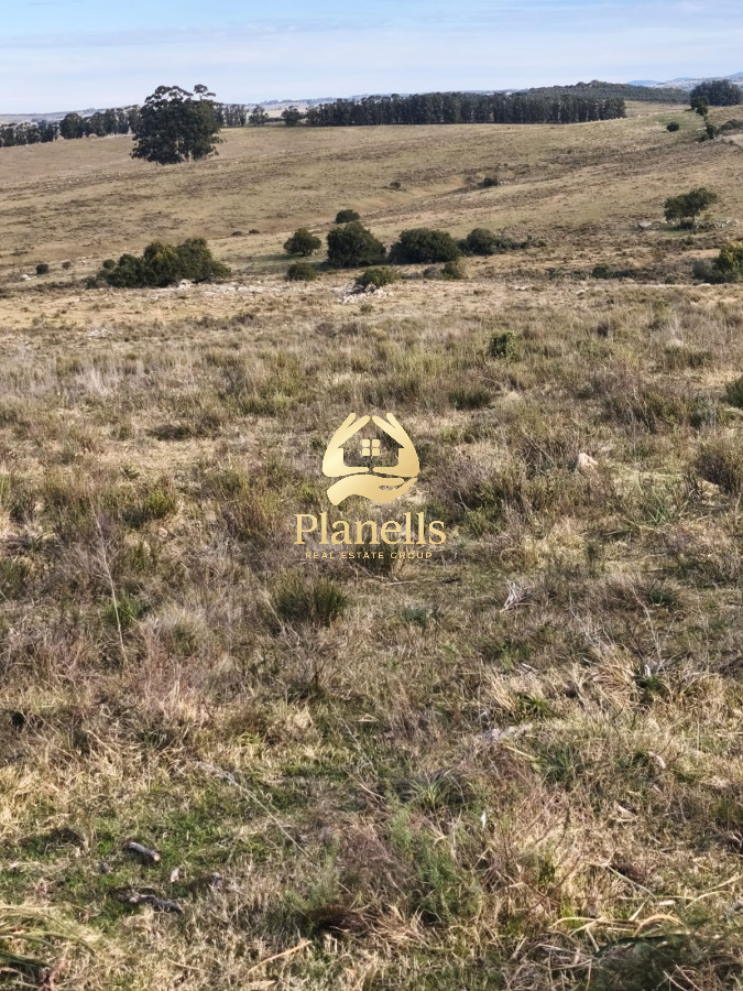 Venta de campo de 240 Has Zona Las Cañas 9