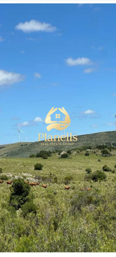 Campo Ref.2247 - venta  Chacras 3Has  Caracoles