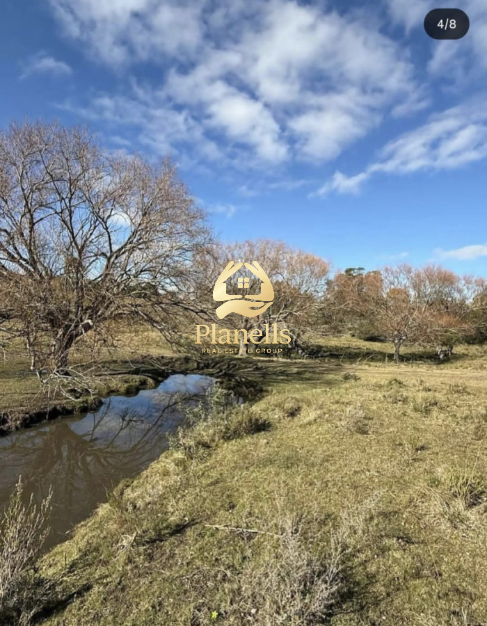 Venta Campo de 26Ha con casa en Minas 4