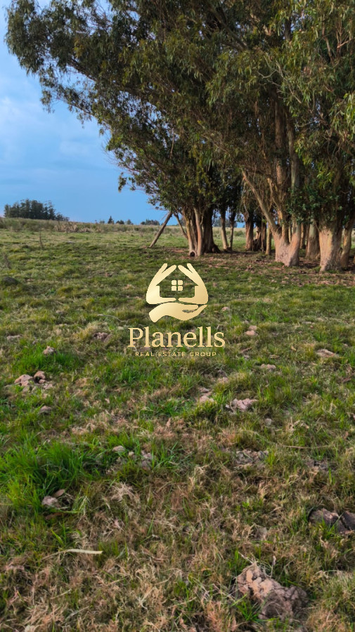 Venta Campo 13 Ha en Cañada Bellaca 1