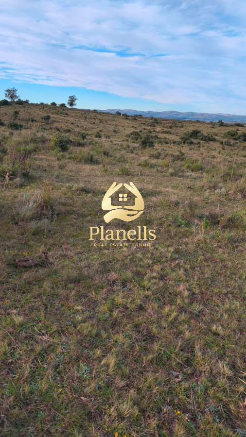 Venta de Campo de 77 Ha en Las Cañas 5