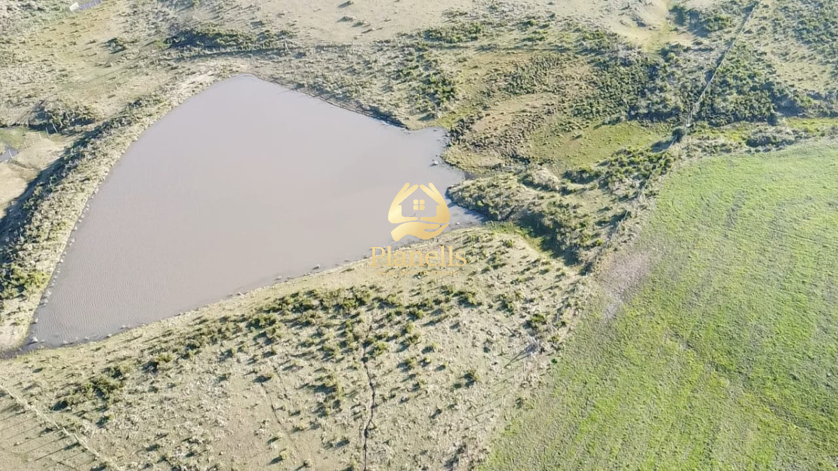 Venta de campo de 103 Has en Las Cañas 10