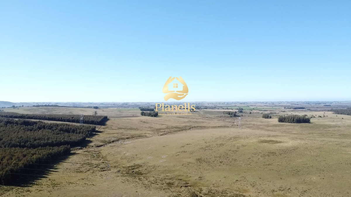 Venta de Campo de 103 Has Partido Norte 1