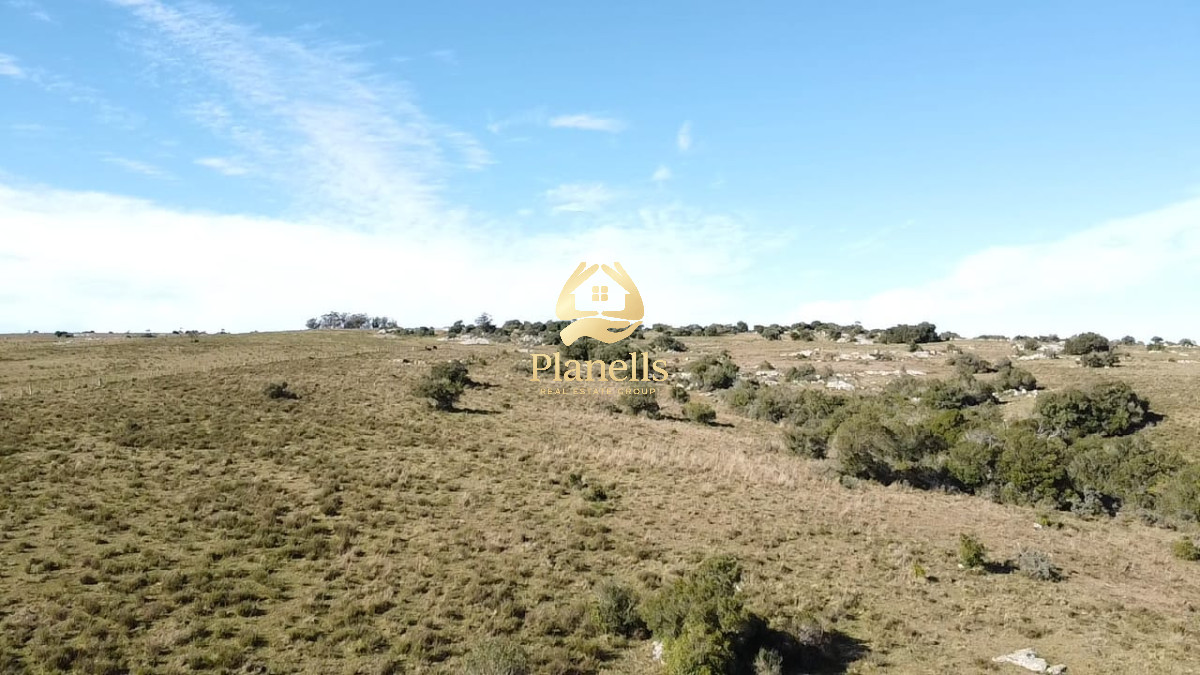 Venta de campo 137 Ha Maldonado 7