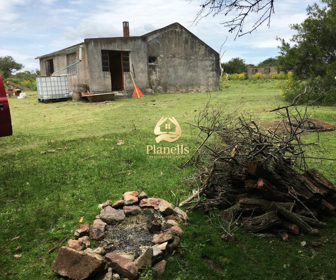 Venta de campo de 26 Has en la Coronilla 1