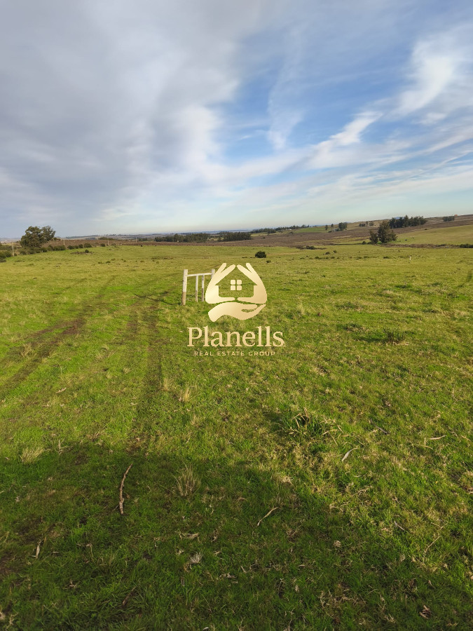 Venta de campo de 34 Has en Pan de Azucar 5