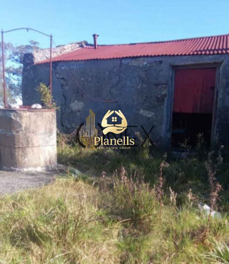 Venta de campo 137 Ha Maldonado 2