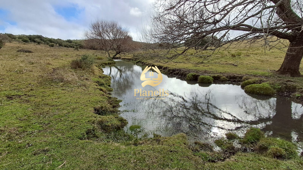 Venta Campo de 26Ha con casa en Minas 2