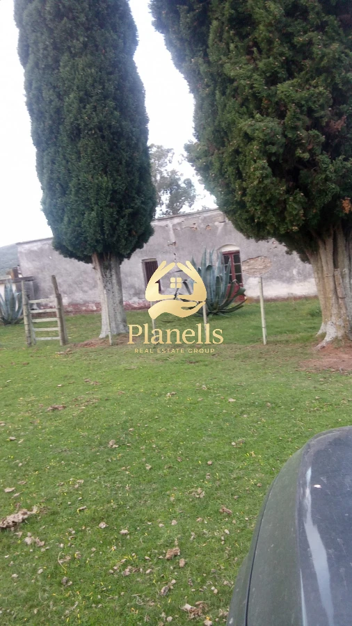 Campo Ref.3106 - Venta de Campo 600Ha en Carape con casas