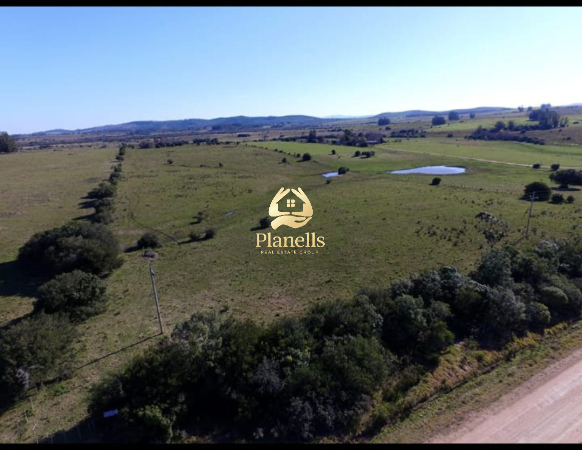 Venta de campo de 22 Ha en Zanja de Chavez 6