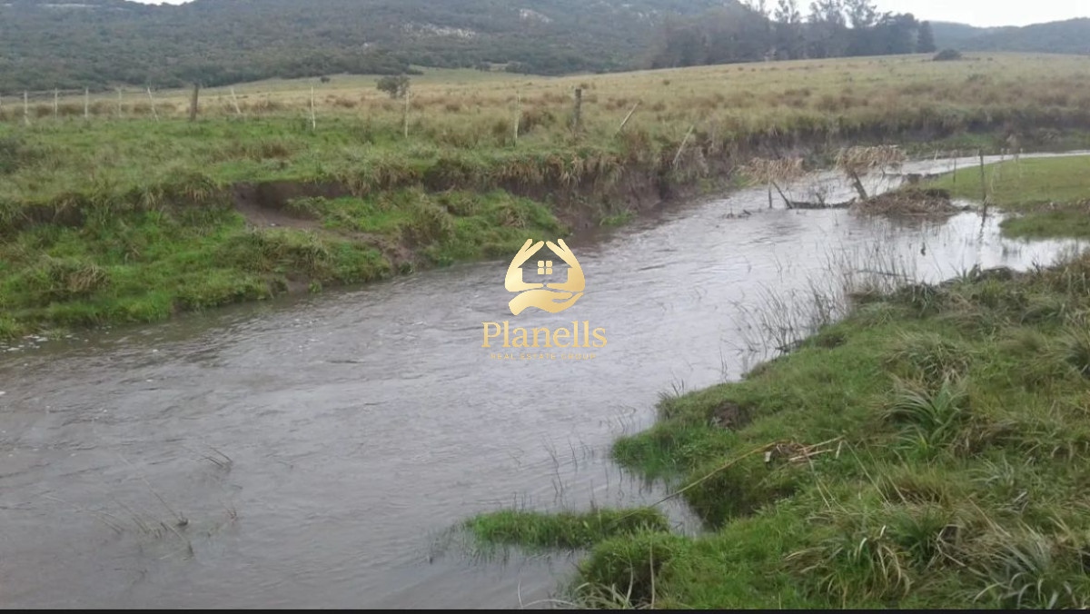 VENTA DE CAMPO 80H SOBRE LAS SIERRAS DE VILLA SERRANA,LAVALLEJA 2