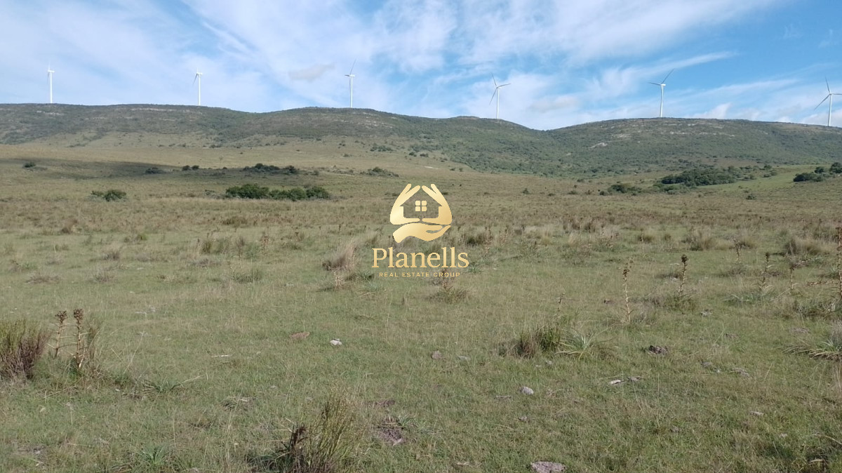 Venta de Chacras de 5 y 6 Ha en Caracoles 4