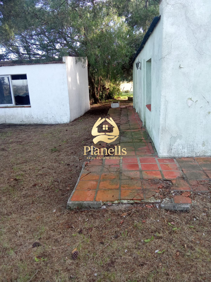 venta de campo de 15Ha en Partido Norte con casa 2