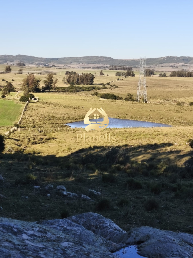 Venta de campo de 103 Has en Las Cañas 8