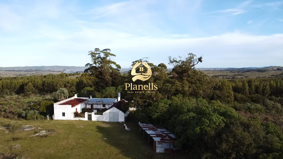 Venta de Campo de 77 Ha en Las Cañas 1