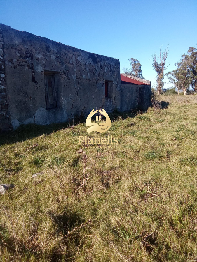 Venta de campo 137 Ha Maldonado 1