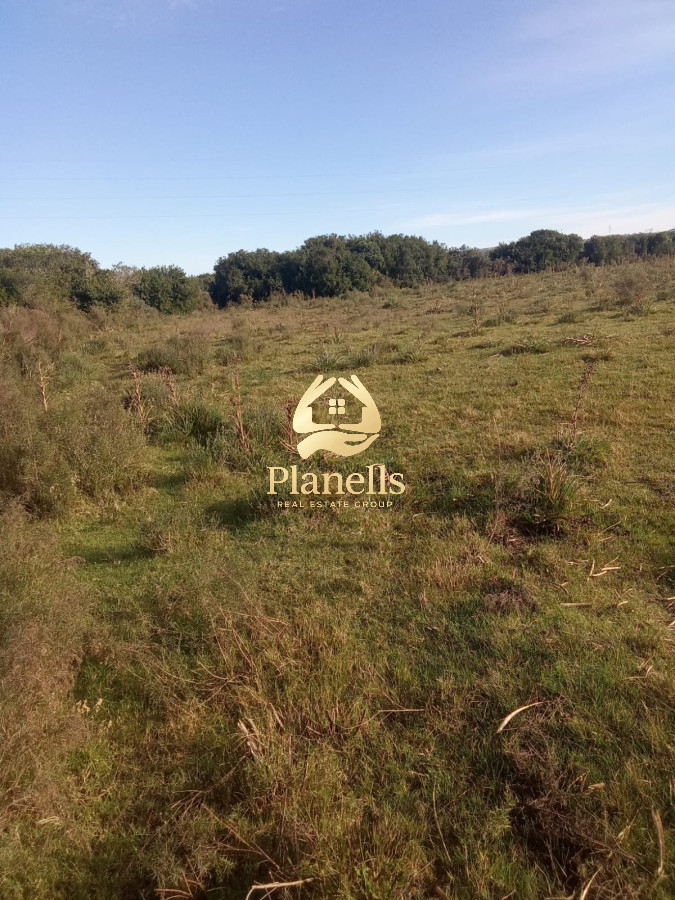 venta de campo de 15Ha en Partido Norte con casa 4