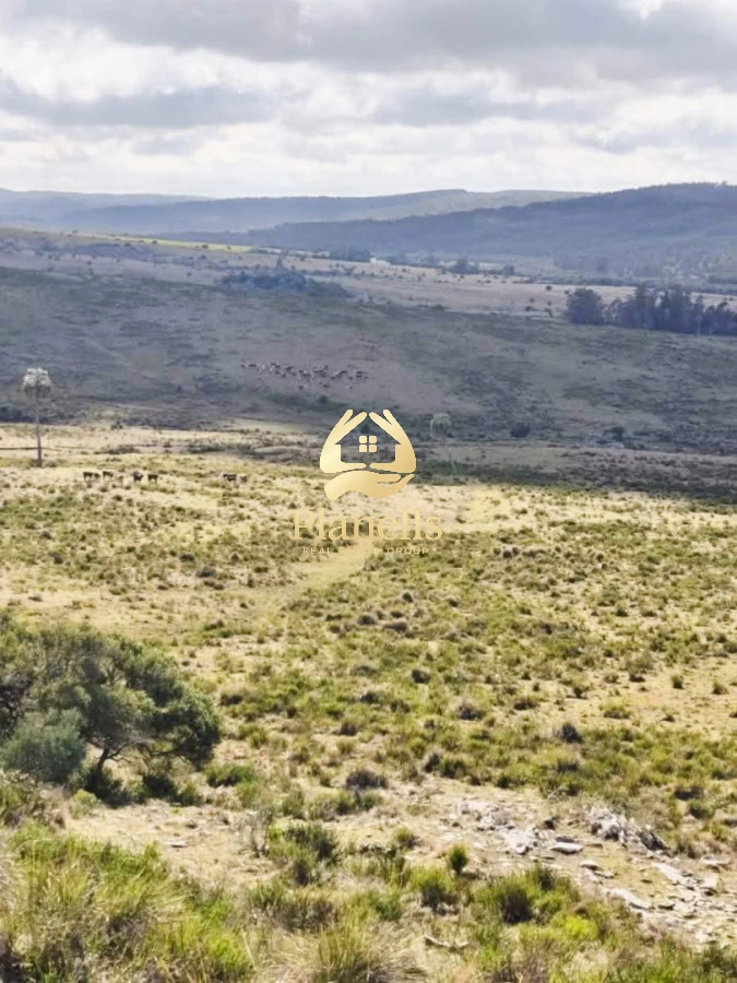 Campo Ref.3106 - Venta de Campo 600Ha en Carape con casas