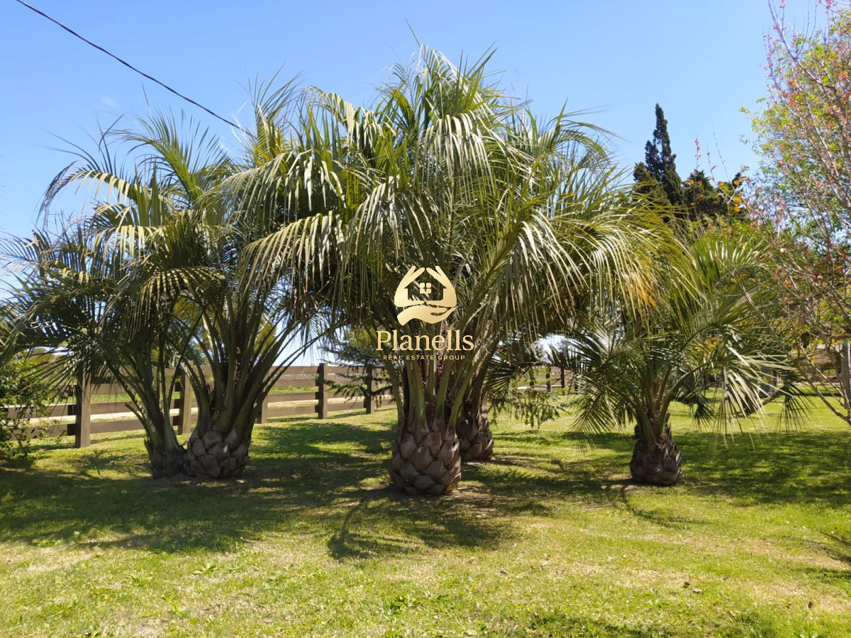 Terreno ID.3247 - venta gran lote con mejoras 7828 mtrs2