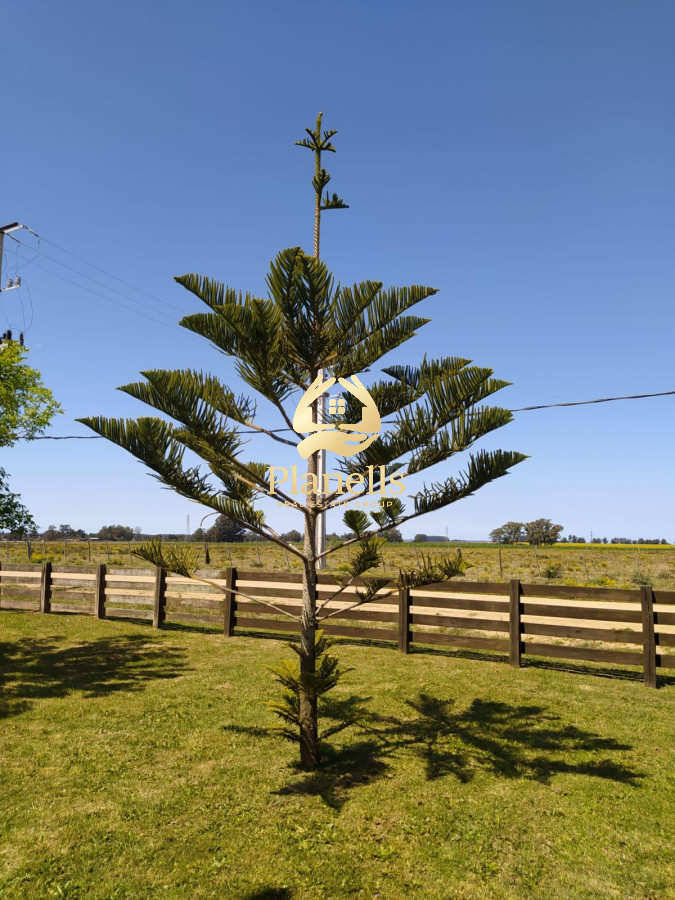 Terreno ID.3247 - venta gran lote con mejoras 7828 mtrs2