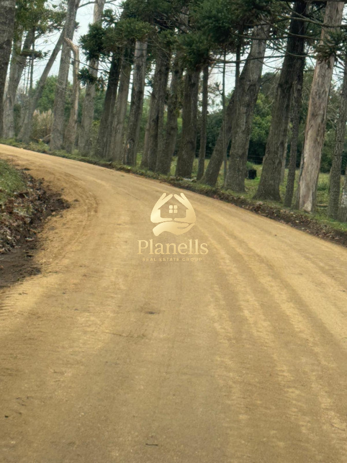 Terreno ID.4452 - Venta de lotes lanzamiento nuevo fraccionamiento JARDINES DEL CERRO