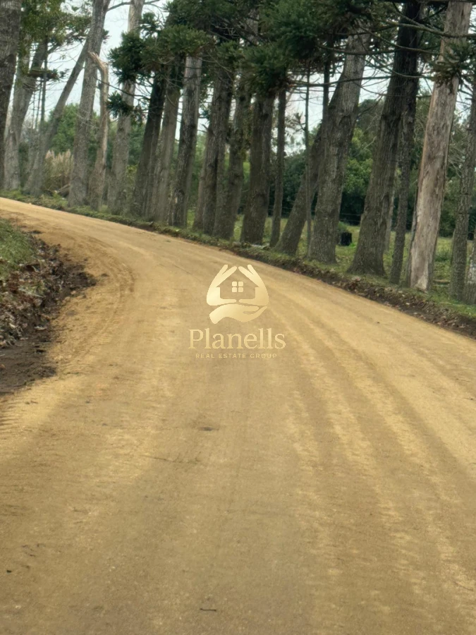 Terreno ID.4452 - Venta de lotes lanzamiento nuevo fraccionamiento JARDINES DEL CERRO