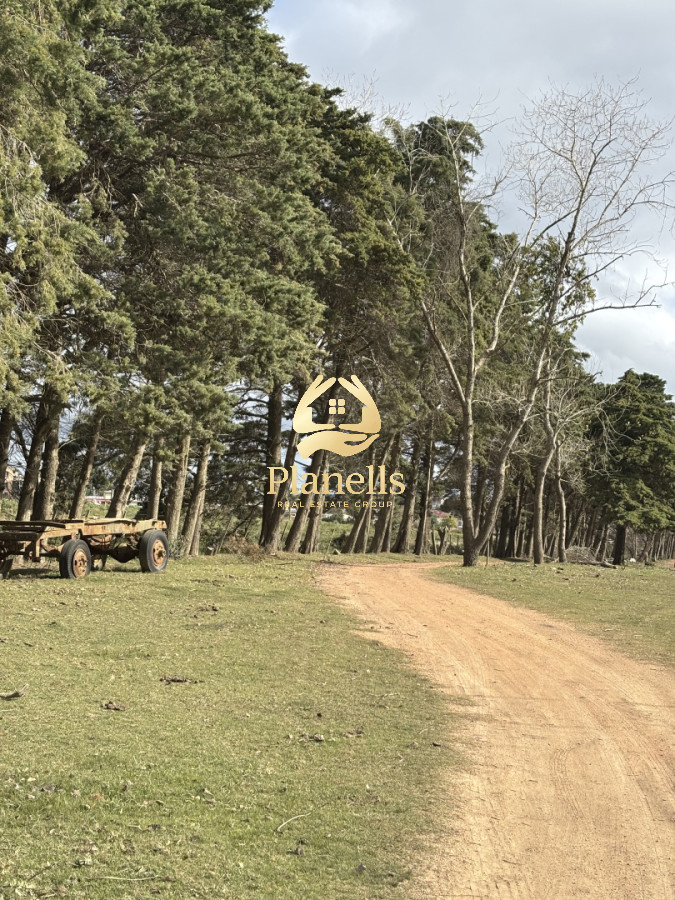 Terreno ID.4452 - Venta de lotes lanzamiento nuevo fraccionamiento JARDINES DEL CERRO