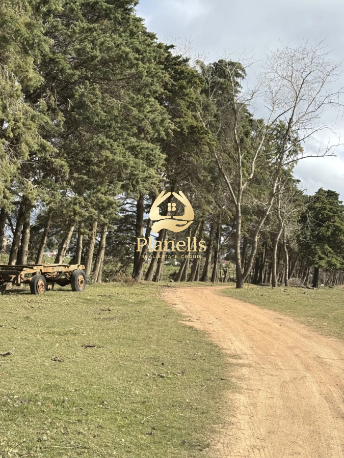 Terreno ID.4452 - Venta de lotes lanzamiento nuevo fraccionamiento JARDINES DEL CERRO