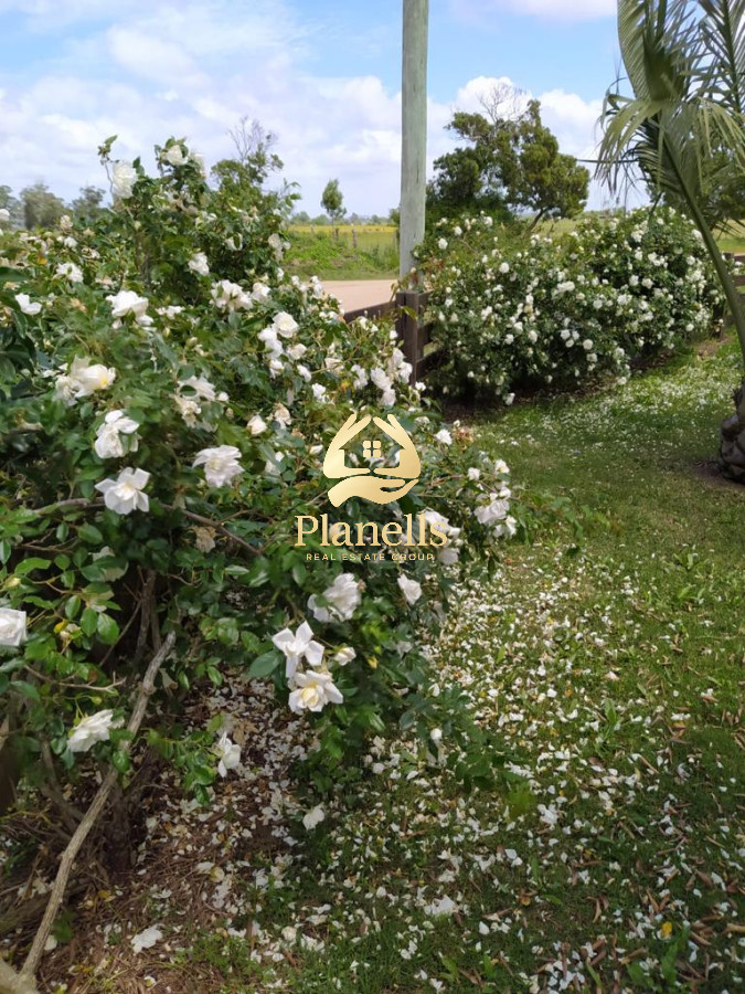venta gran lote con mejoras 7828 mtrs2 4