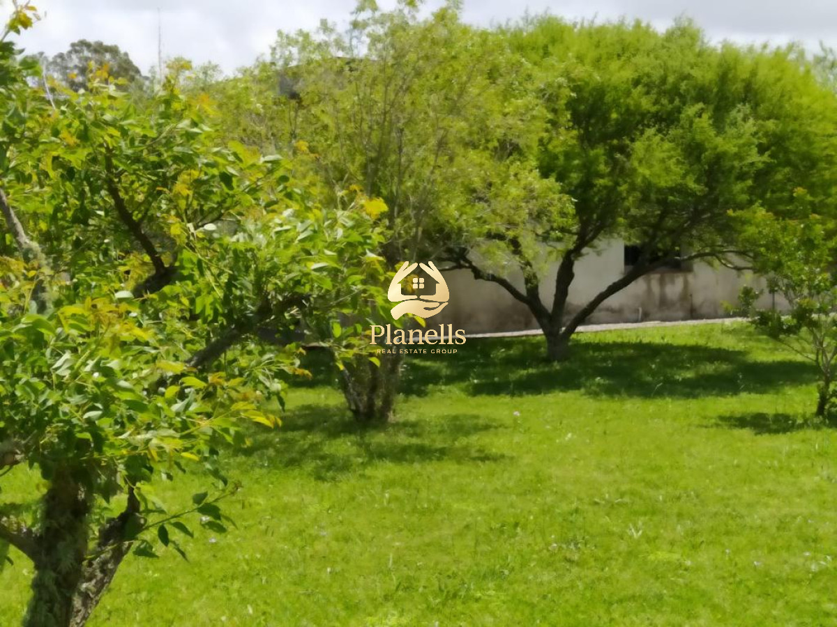 venta gran lote con mejoras 7828 mtrs2 5