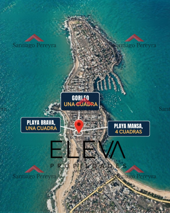Apartamento ID.17109 - Apartamento Con Vista Doble Al Mar, En La Peninsula 1 Cuadra De Playa Brava, 4 De Playa Mansa 1 De Gorlero