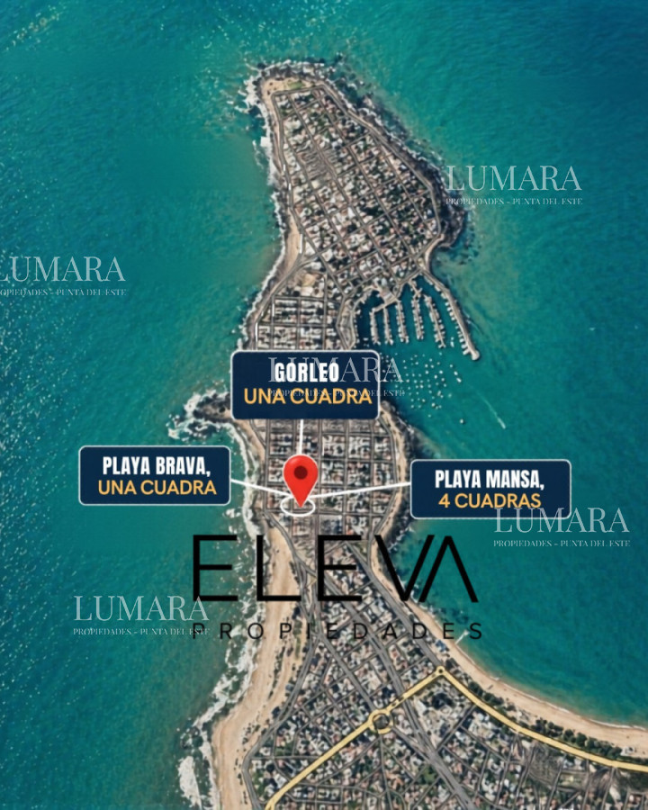 Apartamento ID.3679 - Apartamento Con Vista Doble Al Mar, En La Peninsula 1 Cuadra De Playa Brava, 4 De Playa Mansa 1 De Gorlero