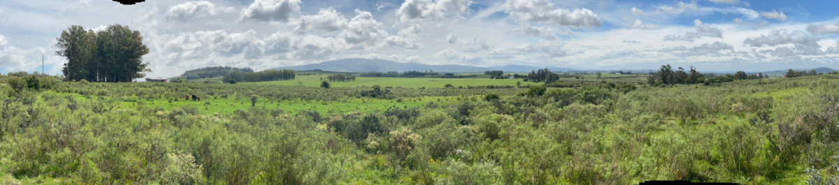 Chacra 5 has cercana a Piriápolis