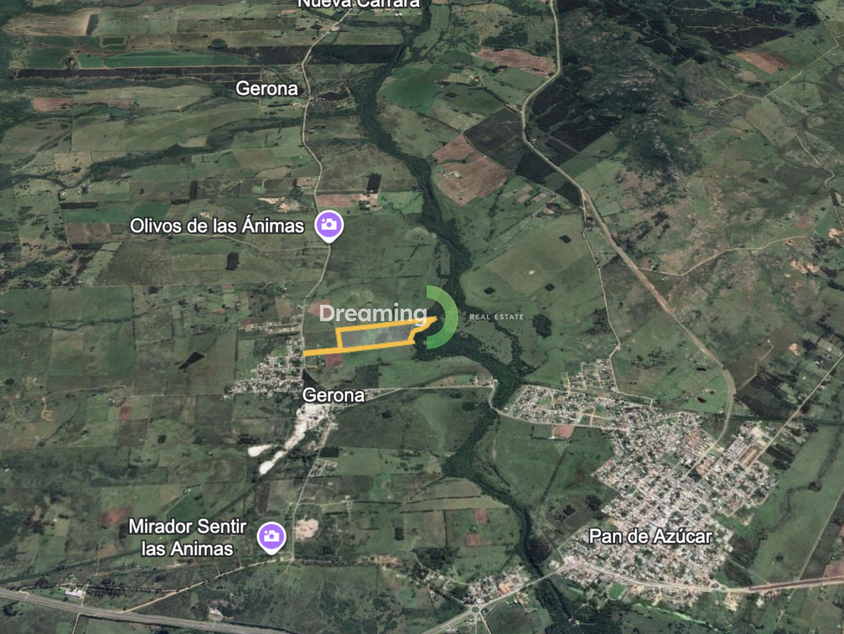 Campo Ref.11 - CAMPO A LA VENTA, 14 HAS. EN PUEBLO GERONA. PAN DE AZÚCAR