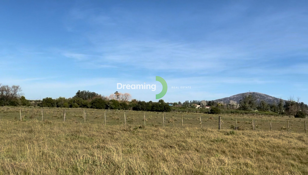 Campo Ref.11 - CAMPO A LA VENTA, 14 HAS. EN PUEBLO GERONA. PAN DE AZÚCAR