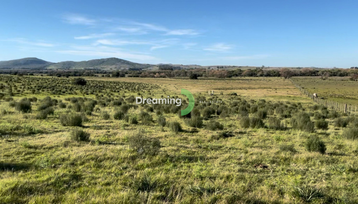 Campo Ref.11 - CAMPO A LA VENTA, 14 HAS. EN PUEBLO GERONA. PAN DE AZÚCAR