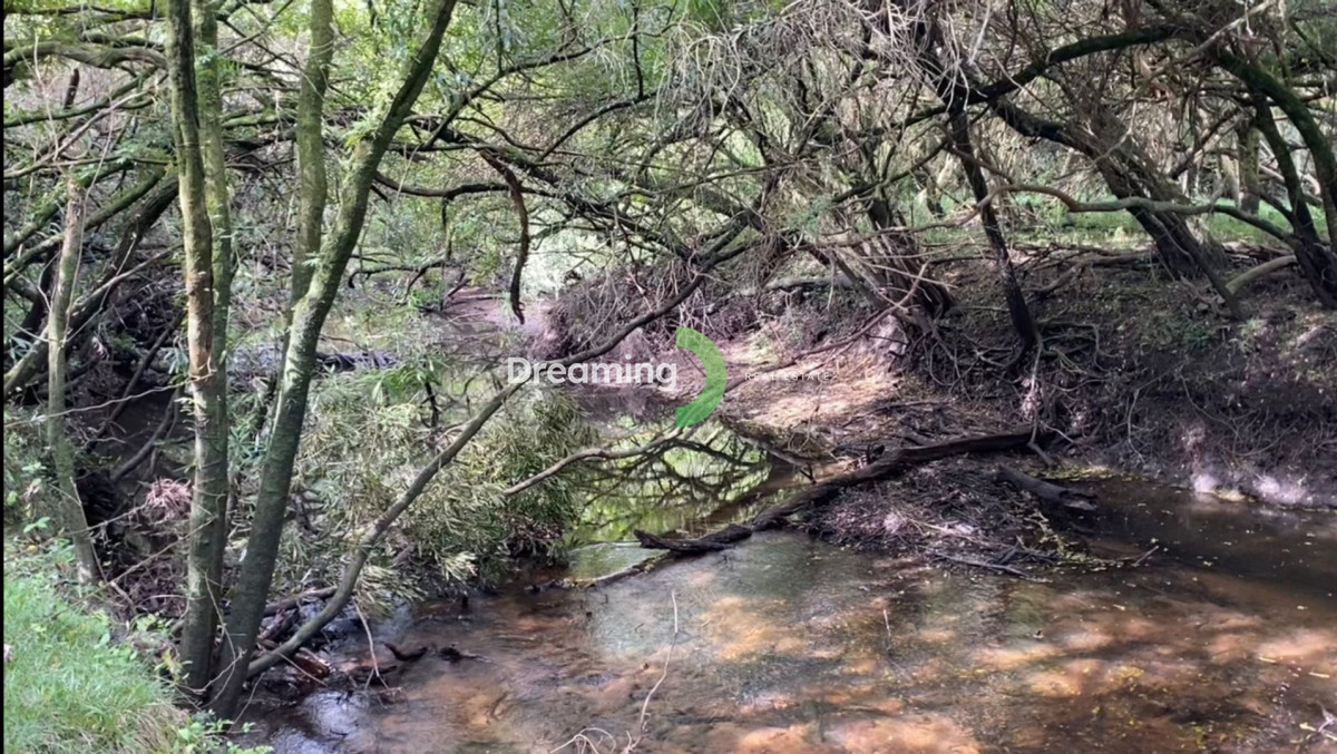 Campo Ref.11 - CAMPO A LA VENTA, 14 HAS. EN PUEBLO GERONA. PAN DE AZÚCAR