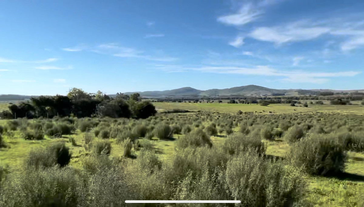 CAMPO A LA VENTA, 14 HAS. EN PUEBLO GERONA. PAN DE AZÚCAR