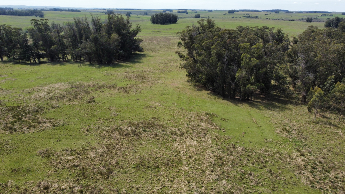INCREÍBLE CAMPO EN LOMAS DE JOSÉ IGNACIO