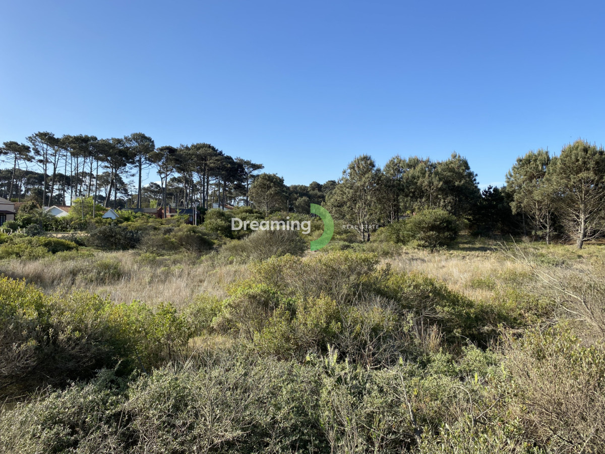 Terreno ID.2 - Terreno en Tío Tom, Punta Ballena