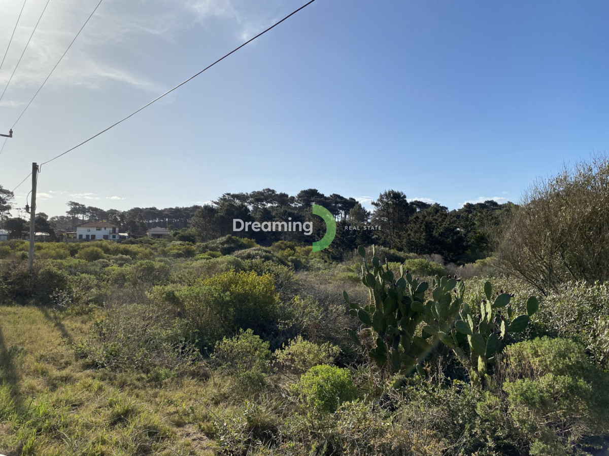 Terreno ID.2 - Terreno en Tío Tom, Punta Ballena