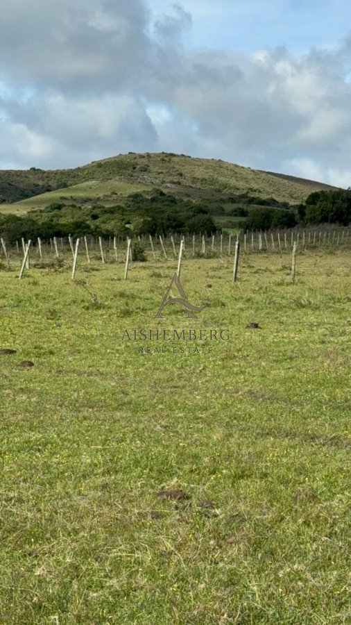 Chacra ID.4868 - Chacra En venta en Aiguá Ruta 39