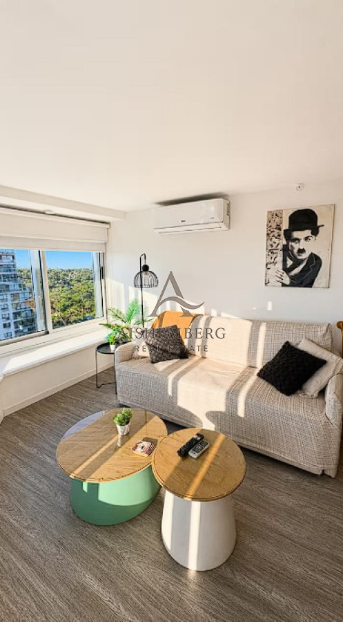Apartamento ID.5744 - Alquiler de temporada y anual Apartamento 1 dormitorio Ocean Drive Country piso 16